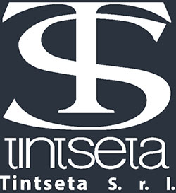 Tintseta Srl Logo